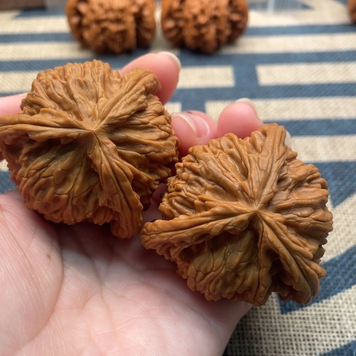 不***臣核桃白狮子47核桃