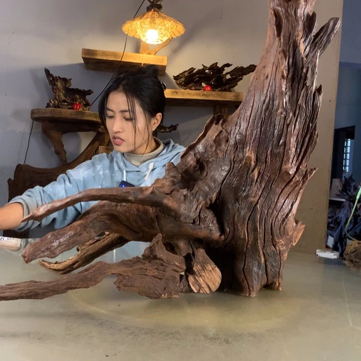 破***梦天然的云南紫柚木会黄水
