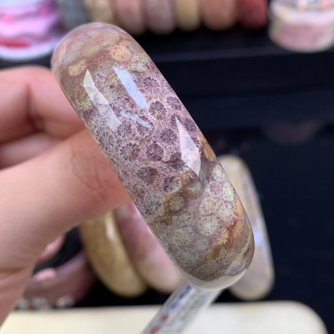 硅化珊瑚（珊瑚玉）未镶嵌颈饰40号紫彩雏菊53圈