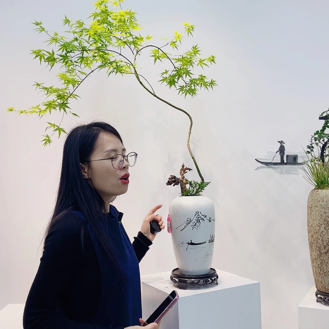 高端绿植一物一拍