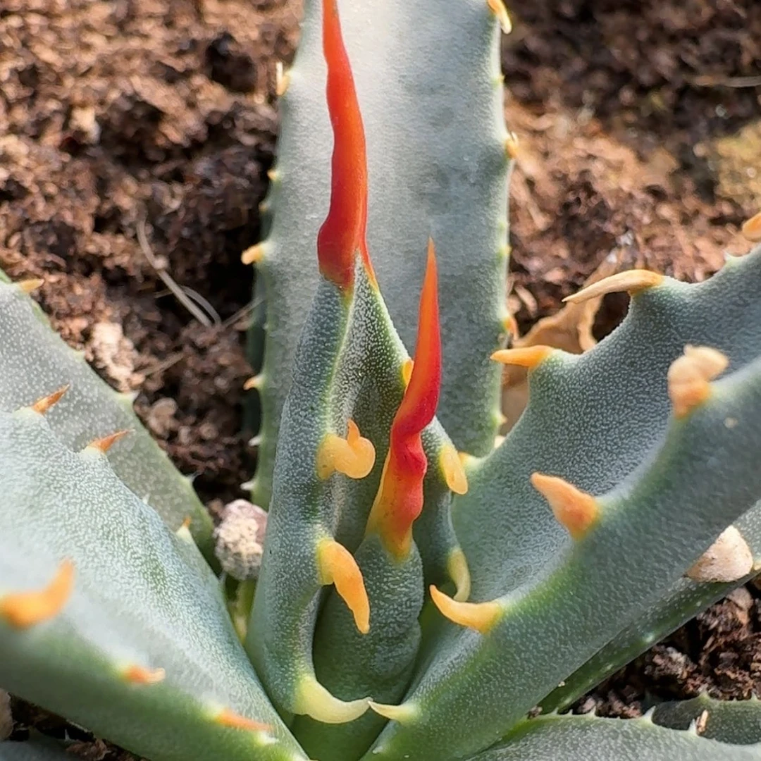 【闪购商品】19哈哈哈哈哈哈哈