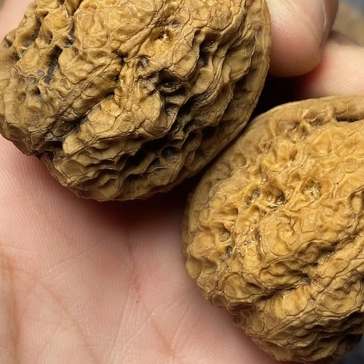 文玩核桃把件云南铁核桃