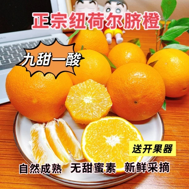 宜昌纽荷尔脐橙大果橙子新鲜采摘产地发货秭归脐橙批发
