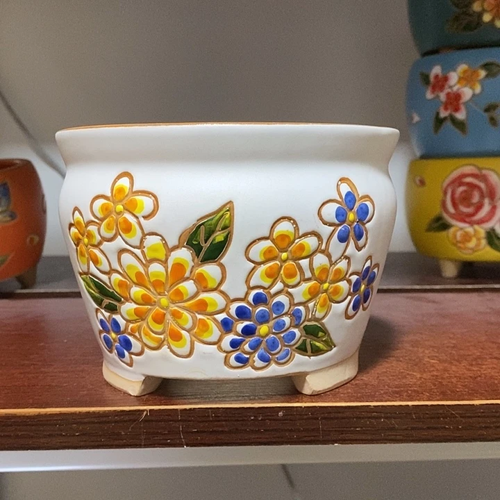 韩式多肉植物花盆