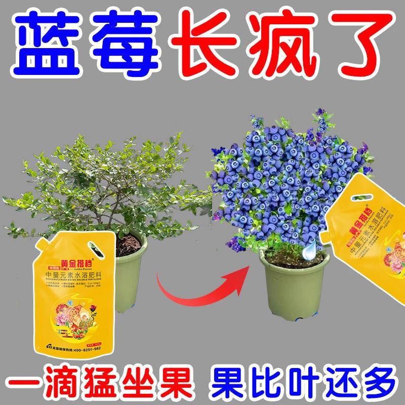 蓝莓专用肥果树家用盆栽促花促果生根营养肥蓝莓专用肥料