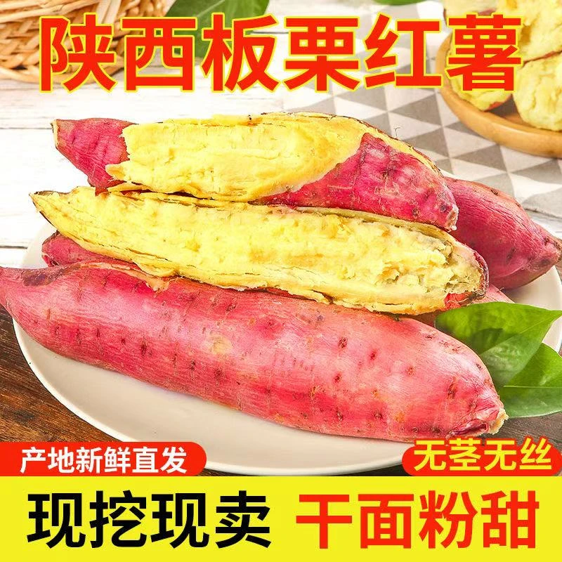 陕西正宗板栗红薯蜜薯粉糯香甜饱满皮薄现挖