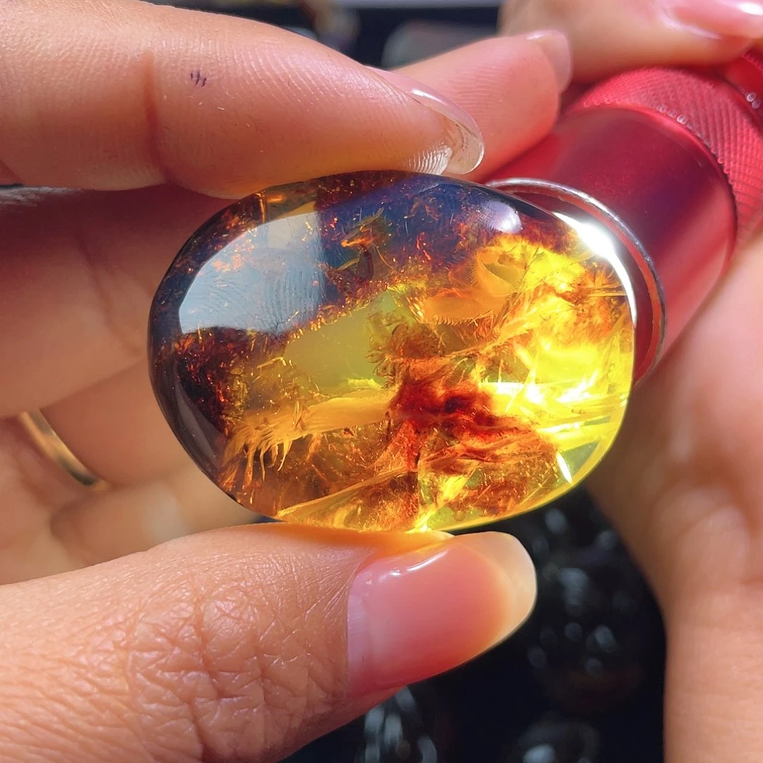 琥珀裸石未镶嵌？