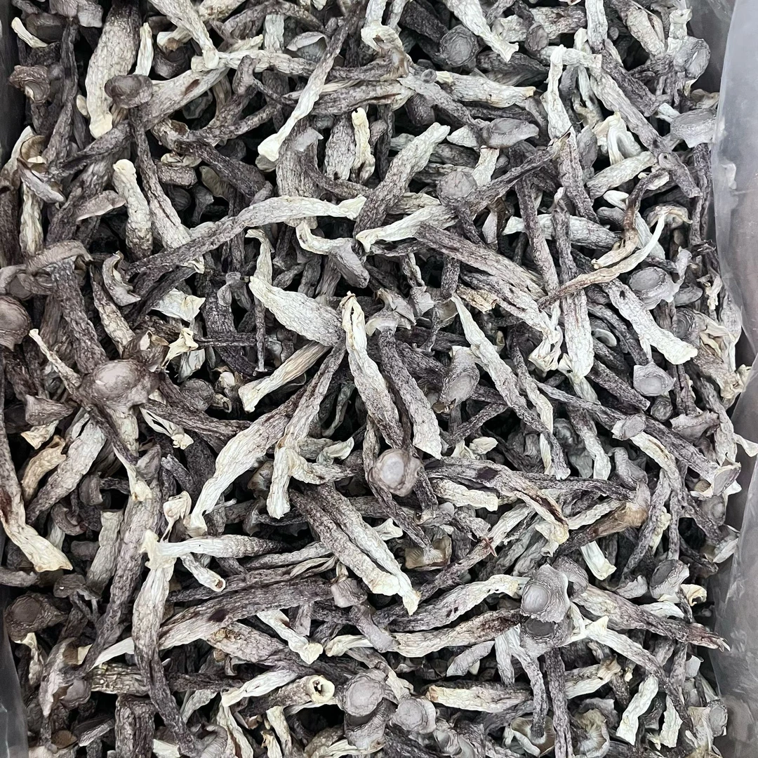 冷水泡发30分左右可炒可煲汤的鹿茸菇干货