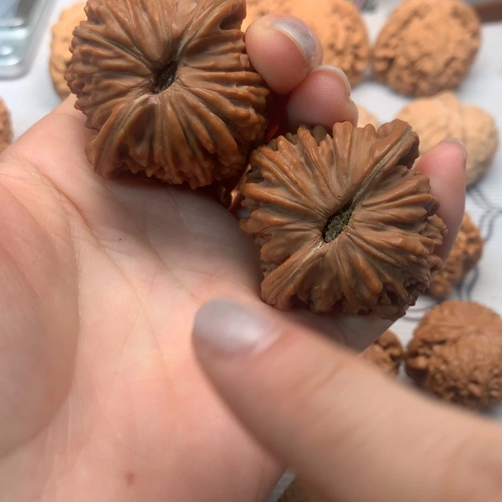 文玩核桃把件全品山地楼44