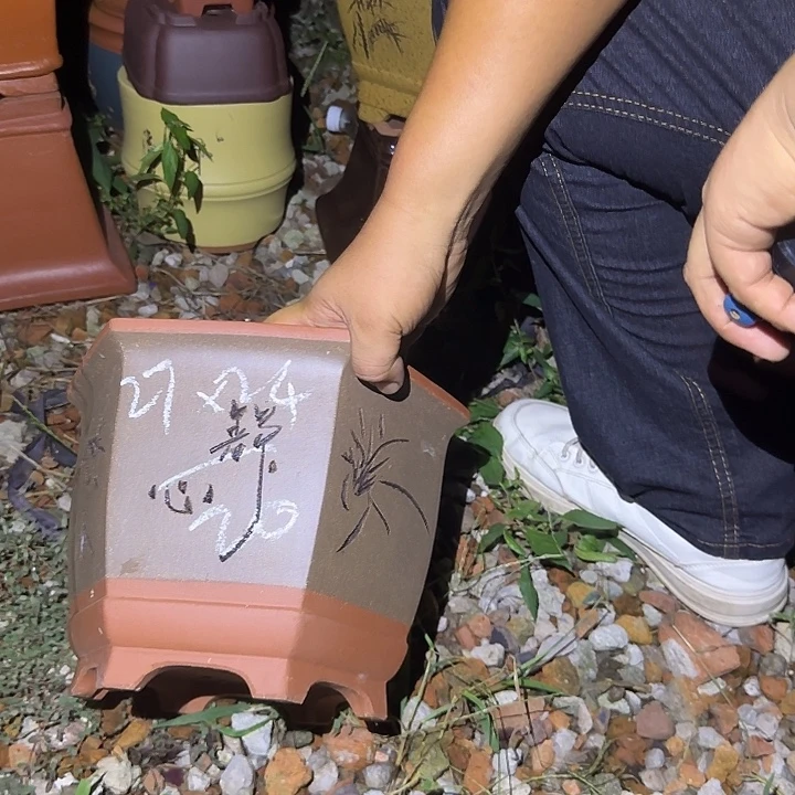 紫砂花盆紫砂花盆盆景盆