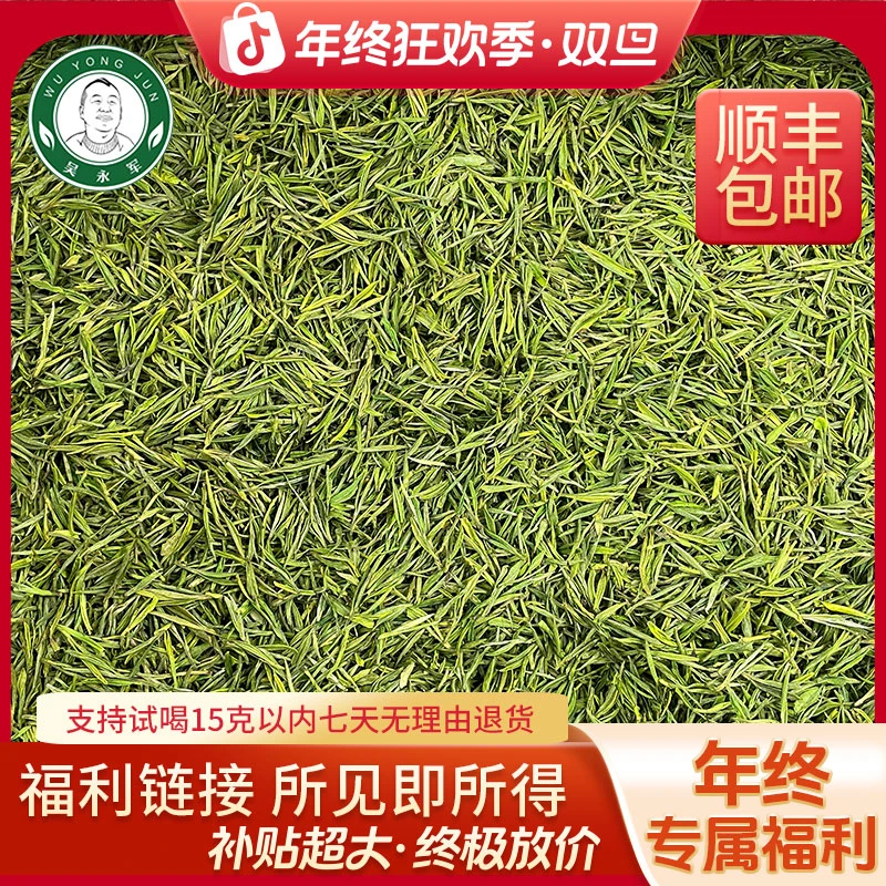 ~2025年春茶新茶408安吉白茶