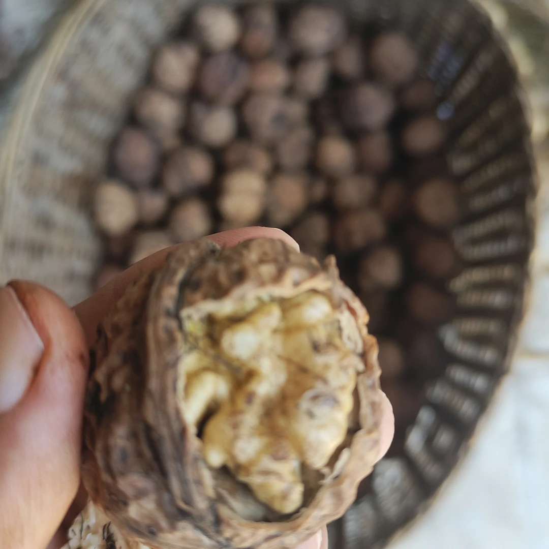 干核桃，云南无量山百年老树核桃，老品种油脂含量高，味道香甜。古树