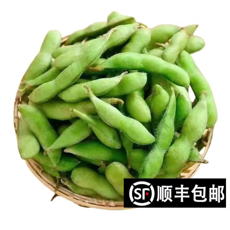 【顺丰包邮】江西永新新鲜现采毛豆当季蔬菜头茬扁毛豆本地农家保鲜