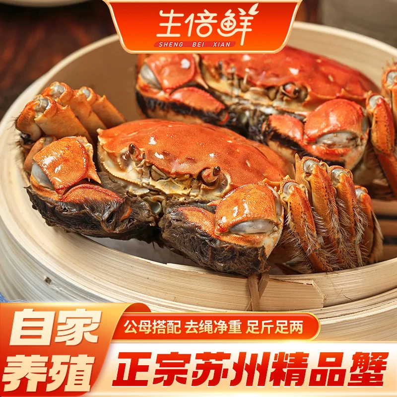 【活蟹】苏州精品大闸蟹公7.0-6.7两母6.0-5.7两加赠2只4对