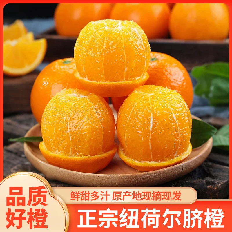 正宗纽荷尔脐橙秭归脐橙赣南的脐橙奉节脐橙应季水果橙子多仓发货