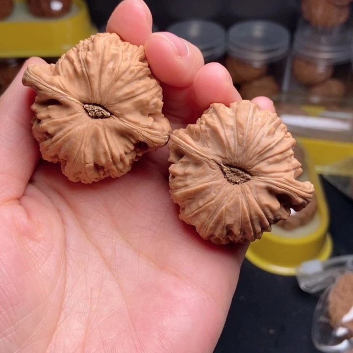 文玩核桃吊坠白狮子44全