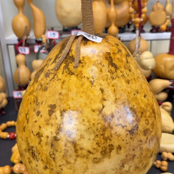 大叶紫檀（黑酸枝木类）風***?