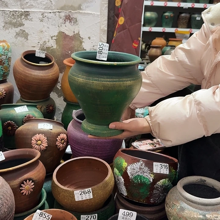 金绿鱼尾805高度20口径17