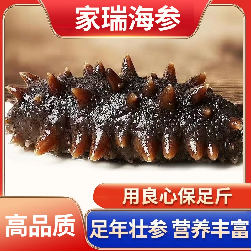 【秋参上市4-12头】蒸食海参大连辽刺参深海即食  大连工厂直发