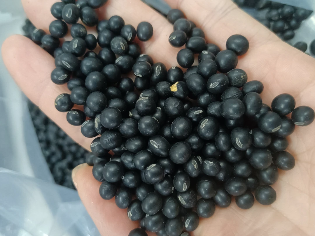 广宁农家土乌豆黑豆五谷杂粮豆浆粗粮新货