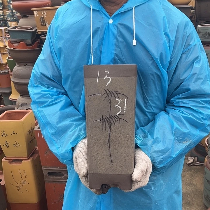 紫砂紫砂花盆和一条