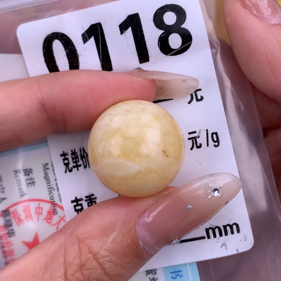 琥珀未镶嵌珠宝奇石19.8 植物