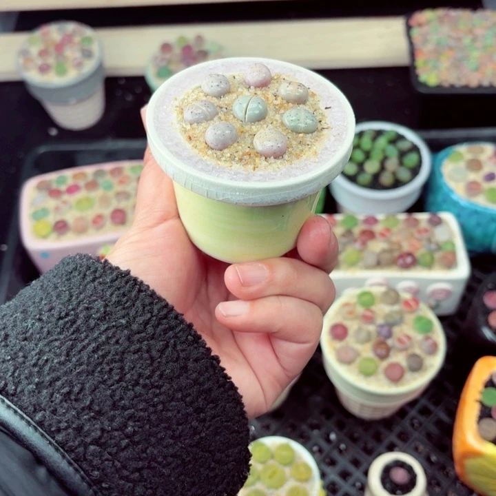 603零下地区记得拍包保温箱满18包邮