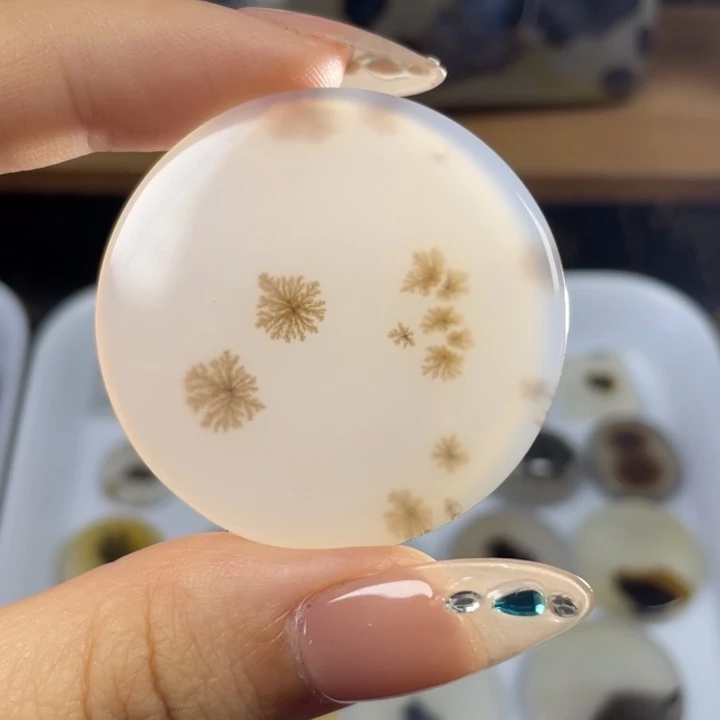 未镶嵌玛瑙象形福利款玛瑙/玉髓