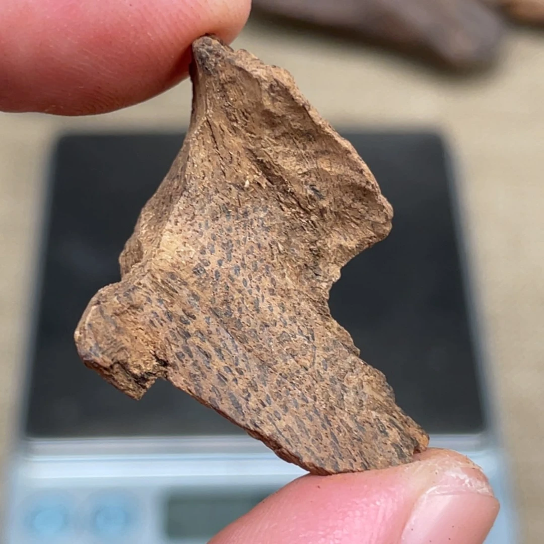 沉香海南熟结老料