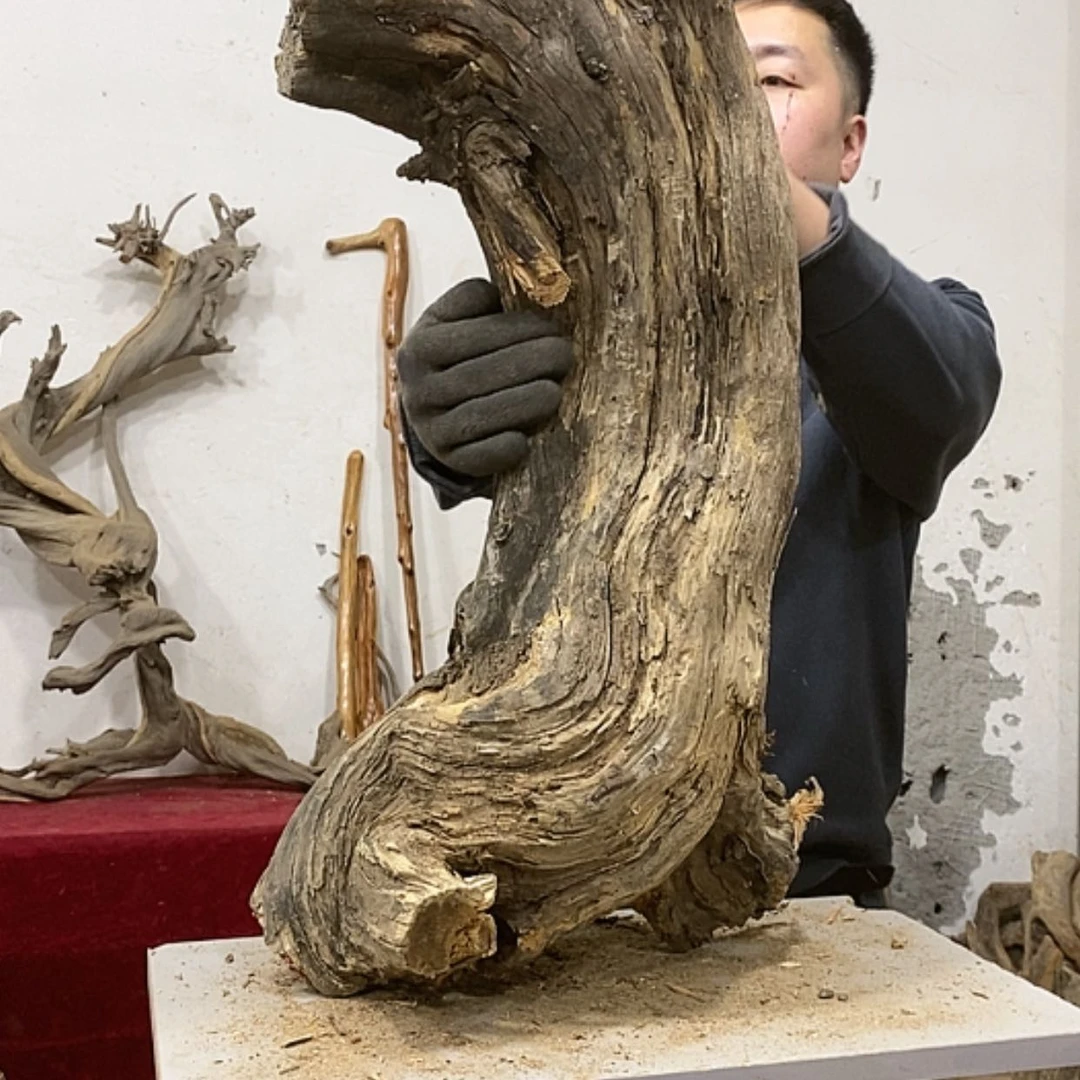 【闪购商品】柏木展****）我们的目标是成为一名