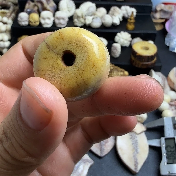 虎*养殖鹿角制作工艺品开片