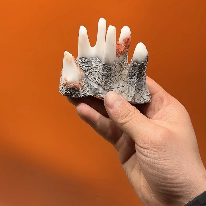 茶宠海*灵璧石传说黄金