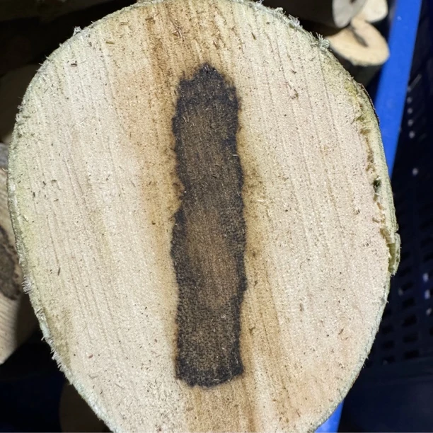 木段原木香材香料薰香原料