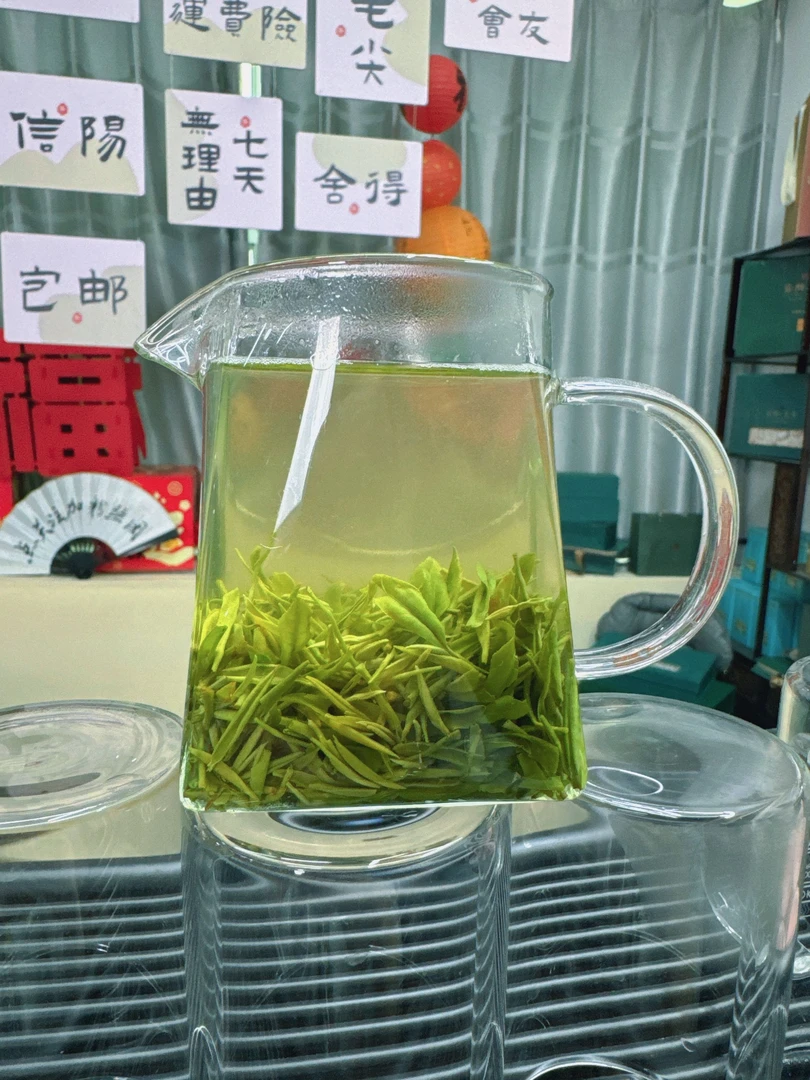2号-2025新茶信阳毛尖明前楼头芽叶香浓醇厚浓郁