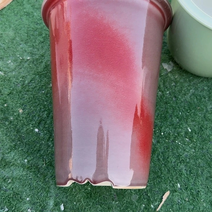 早***因一个一个一直一个一直一个一直一直