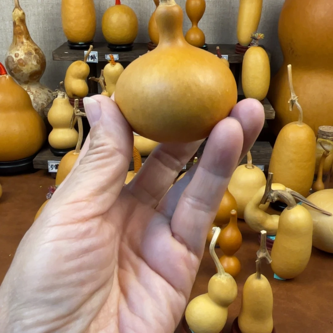 J***A葫芦哈哈哈哈哈哈哈哈