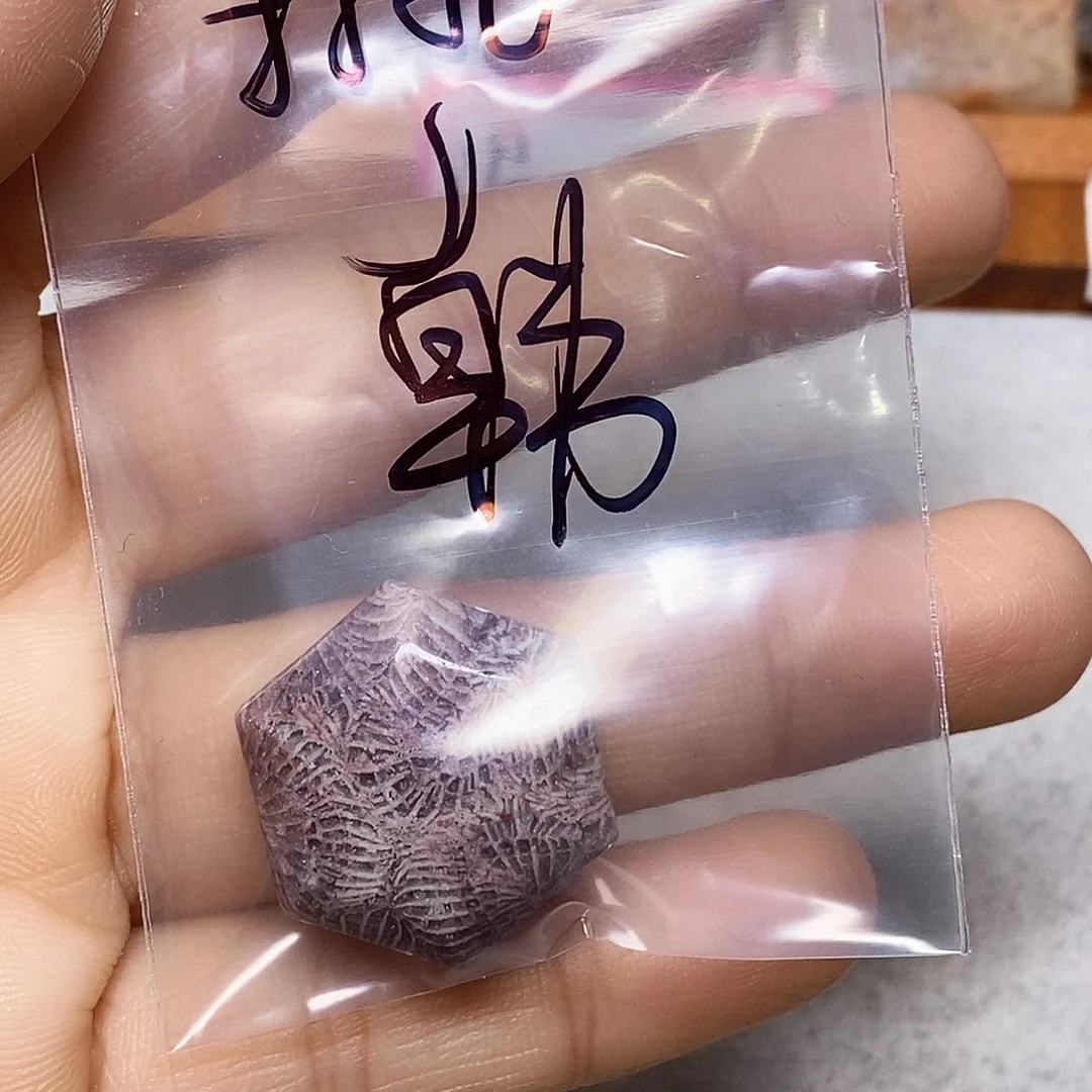 硅化玉颈饰未镶嵌韩*翎