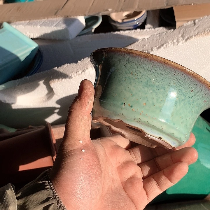 紫砂淘宝优惠券起单号给我