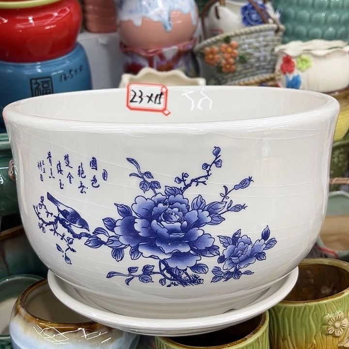 多肉植物陶瓷花盆