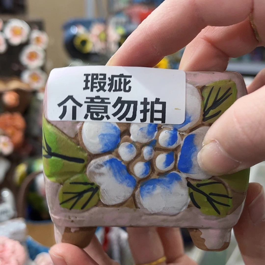 【闪购商品】红陶福利