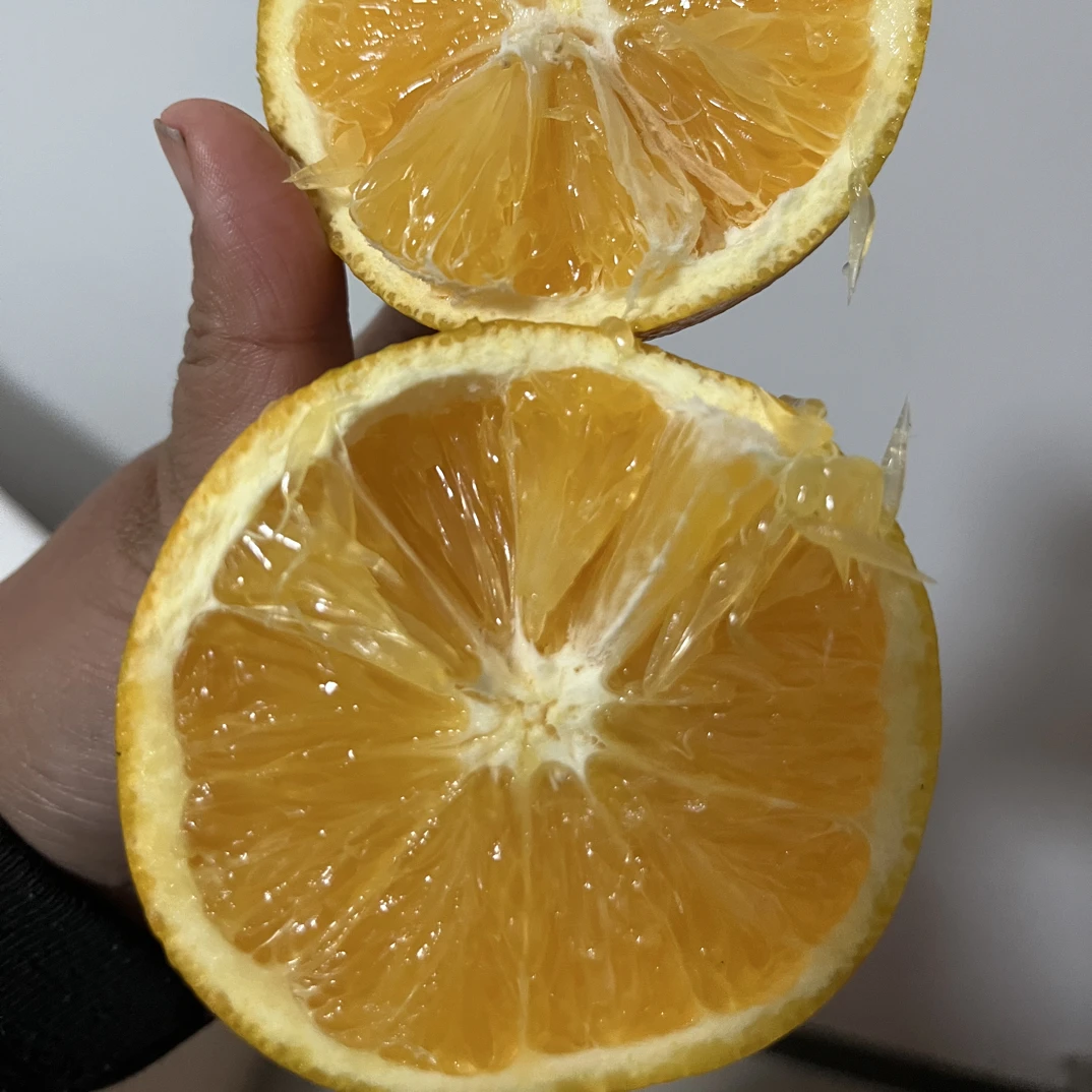 应城农家自种橙子