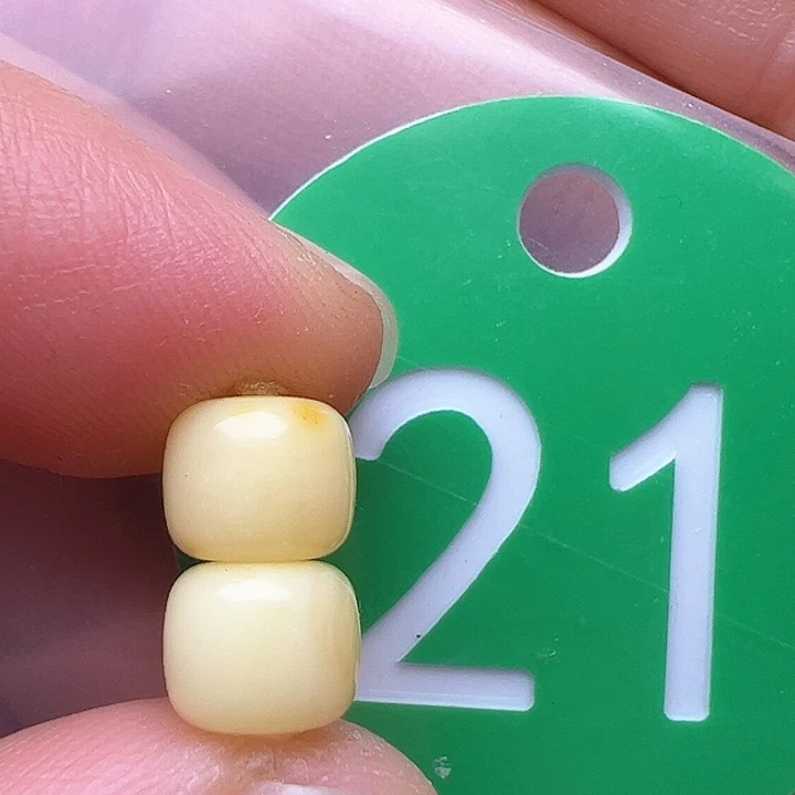 蜜蜡裸石未镶嵌花粉7m m