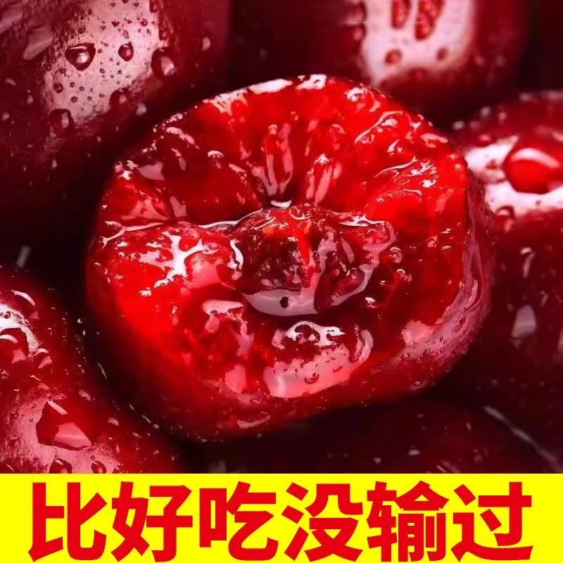 【净重4斤坏果包赔】山东樱桃新鲜樱桃当季顺丰包邮