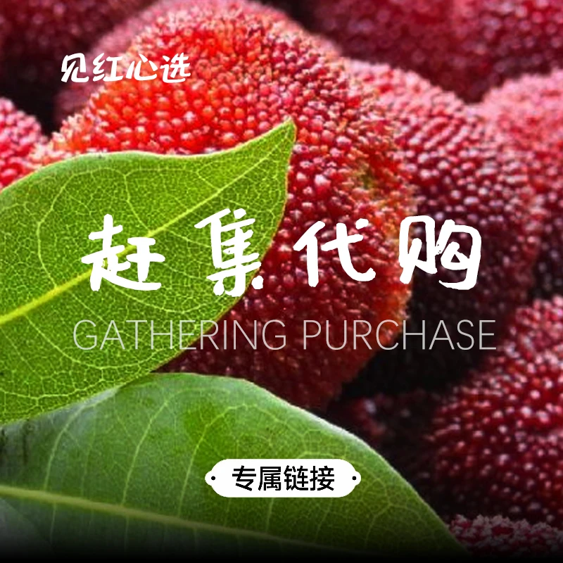 贵州高山农家果蔬腌制菜包邮综合链接