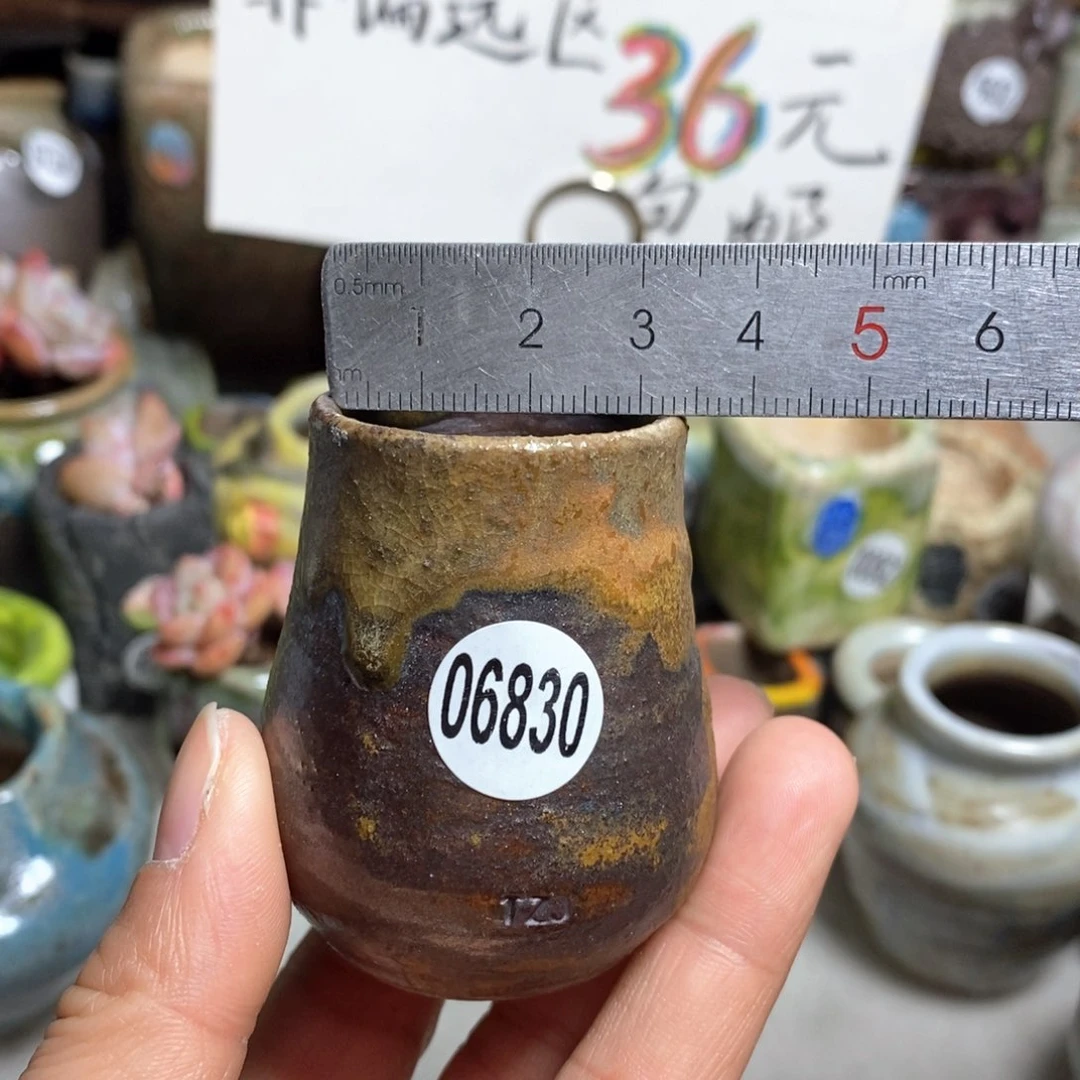 花盆拍5送一个小礼物