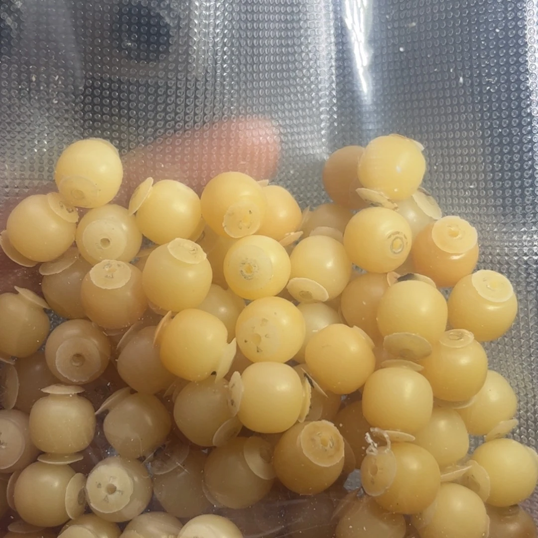 白***苟菩提根/象牙果手串