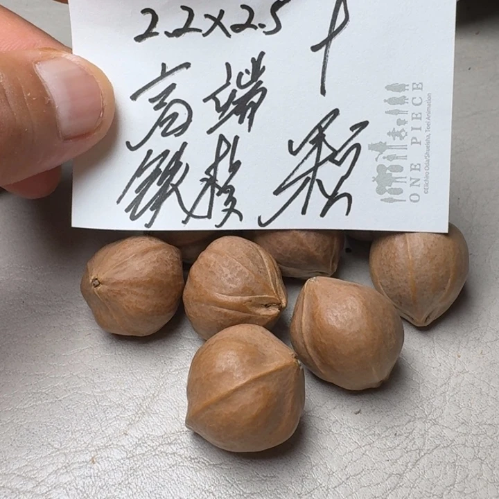 风***虹手串/手链橄榄核橄榄核2.2