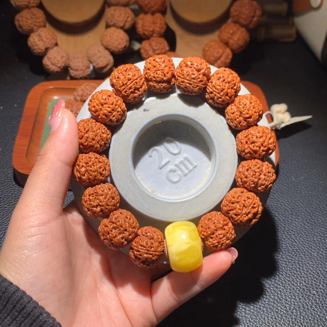 手串金刚菩提19尺寸梁