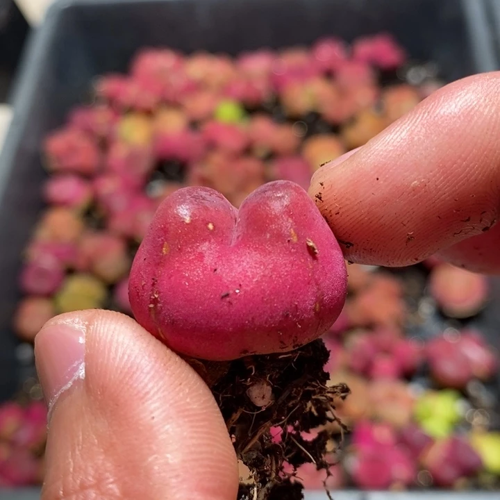 ?*?6148一个一个一个