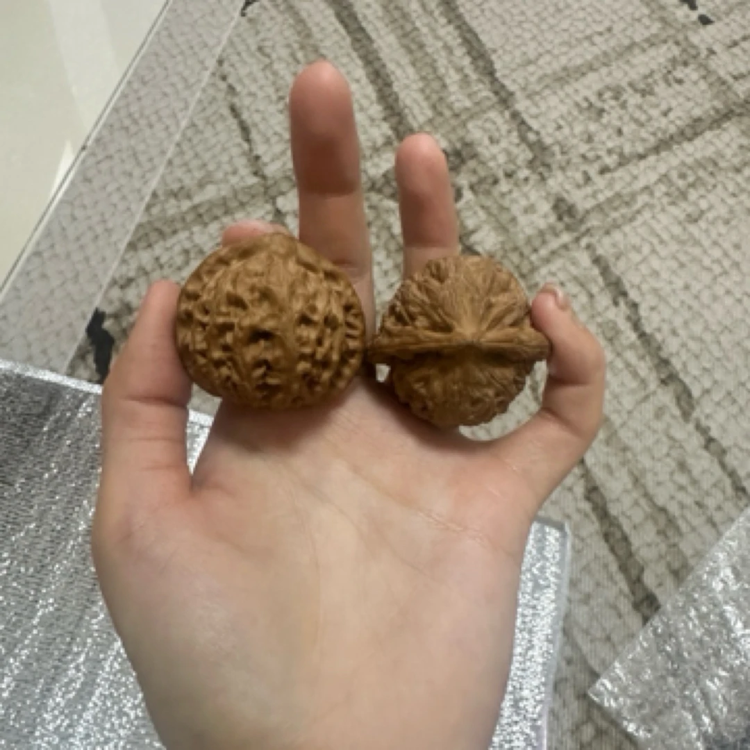 文玩核桃 宫灯 一物一图 no退no换！看好下单